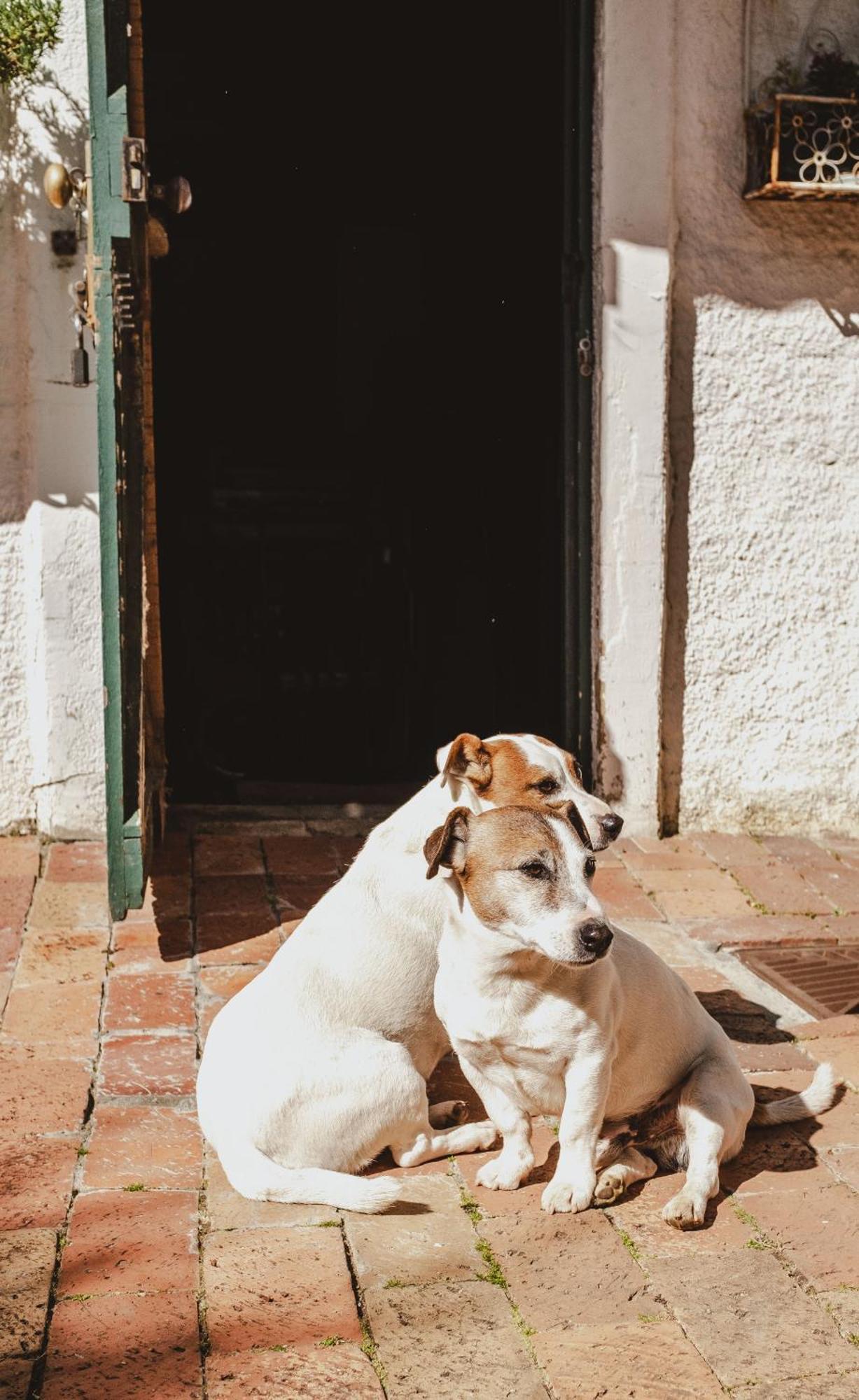 Brookwood Cottage Somerset West Esterno foto