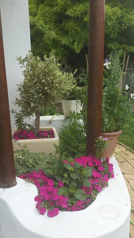 Brookwood Cottage Somerset West Esterno foto