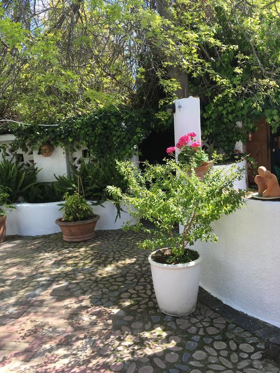 Brookwood Cottage Somerset West Esterno foto